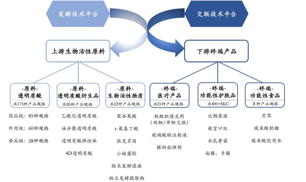 匹敌爱美客的医美龙头，华熙生物，全球玻尿酸帝国，医美里的华为