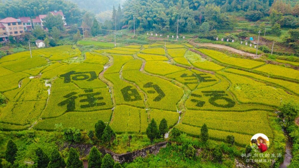 桐庐合岭村，曾因向往的生活蘑菇屋火爆网络，今又有向往的乐园