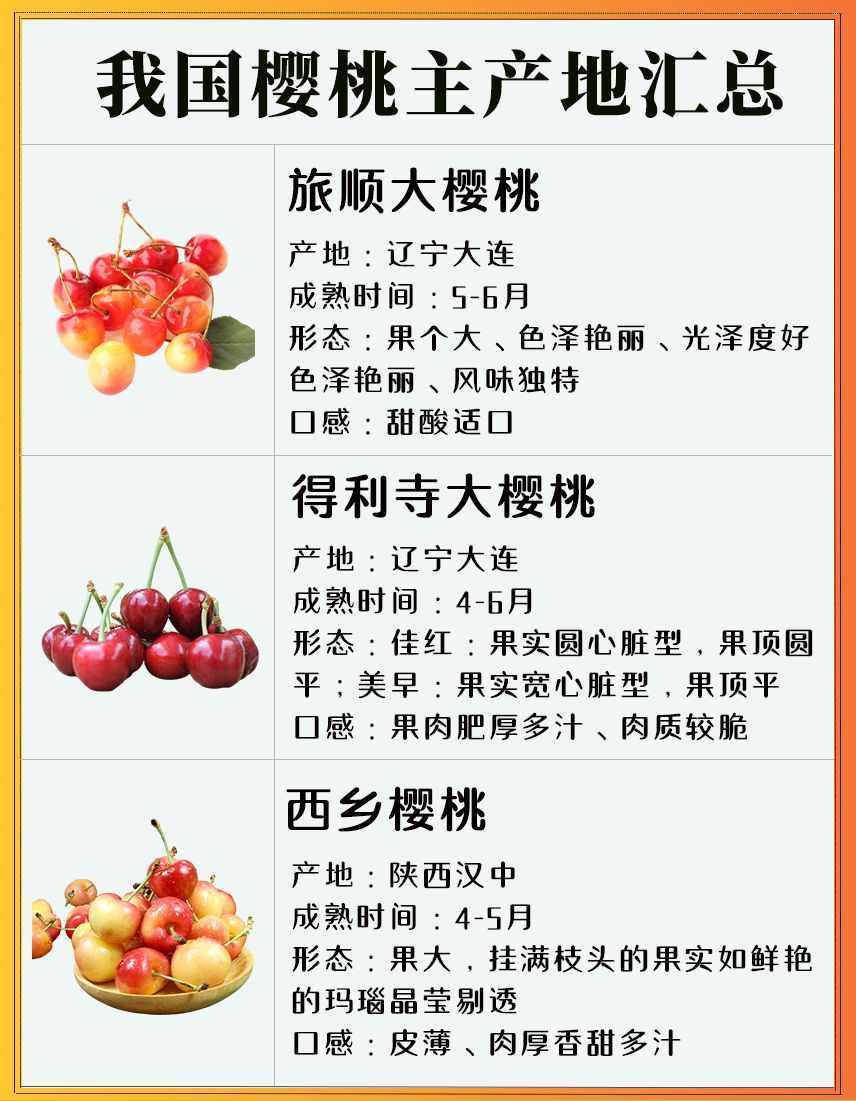 中国樱桃的主产地汇总，山东产地最广泛