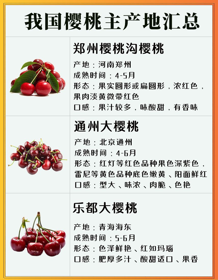 中国樱桃的主产地汇总，山东产地最广泛