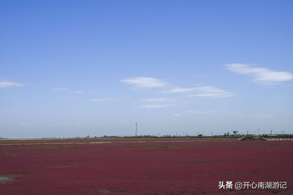 辽宁盘锦红海滩，国庆节前后人多拥挤，现在，红色不差，可尽兴看