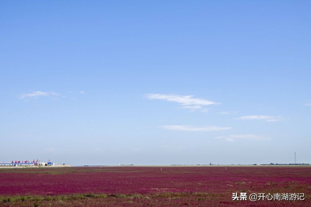 辽宁盘锦红海滩，国庆节前后人多拥挤，现在，红色不差，可尽兴看