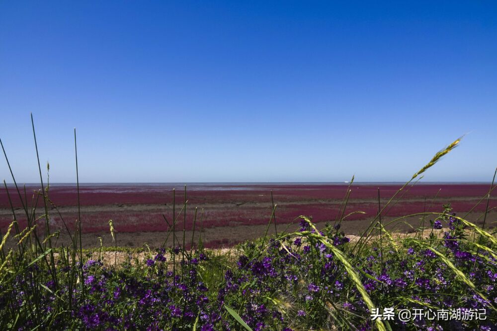 辽宁盘锦红海滩，国庆节前后人多拥挤，现在，红色不差，可尽兴看