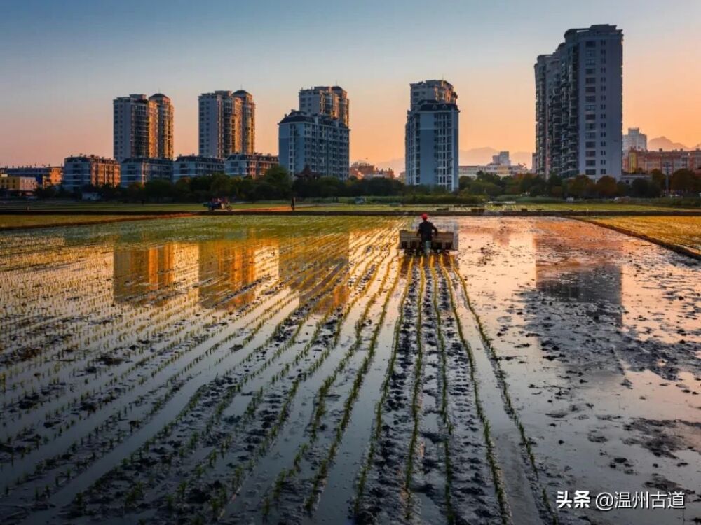 千年古镇 美丽虹桥