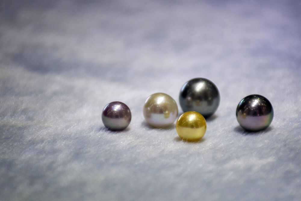 合浦珍珠：中国最名贵的珍珠
