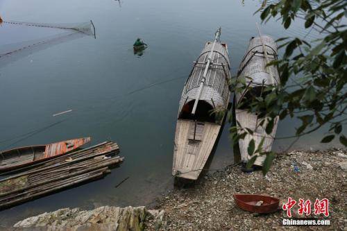 生态环境改善 新安江一江清水“流出”百姓收获满满