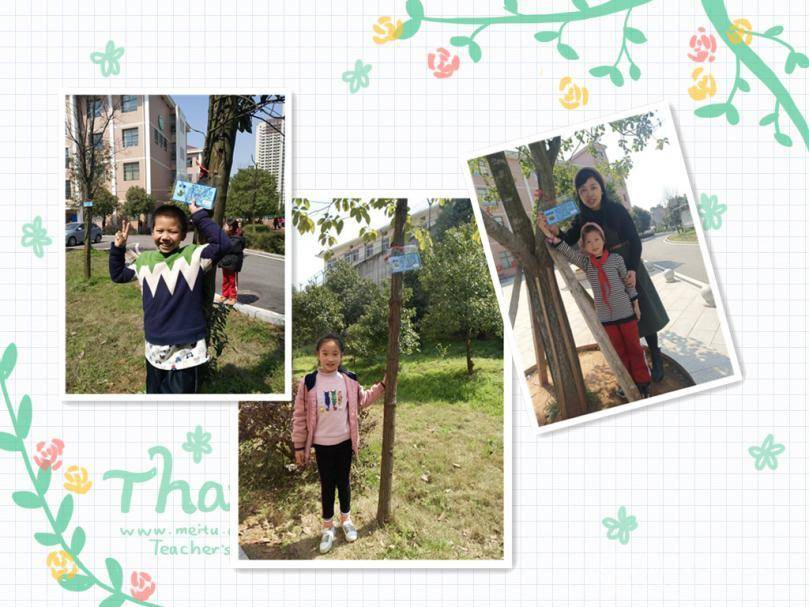 长沙县丁家小学：开展“我和小树共成长”活动