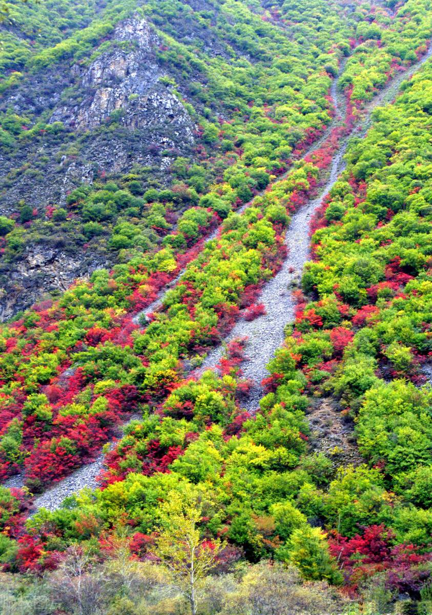 红色才是中国秋天的主打色！这17处枫叶观赏地，总有一个能惊艳你