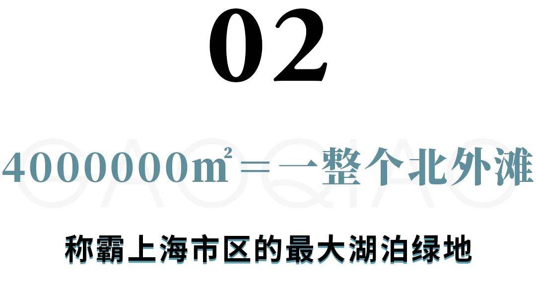 厉害了，高桥！上海下一座“海港新城”来了