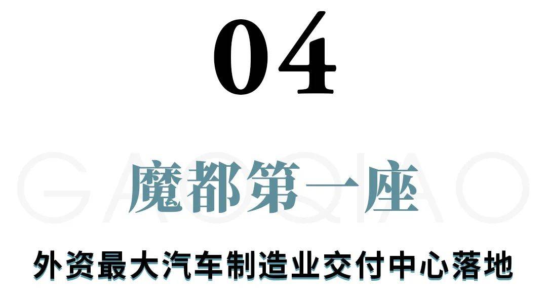 厉害了，高桥！上海下一座“海港新城”来了