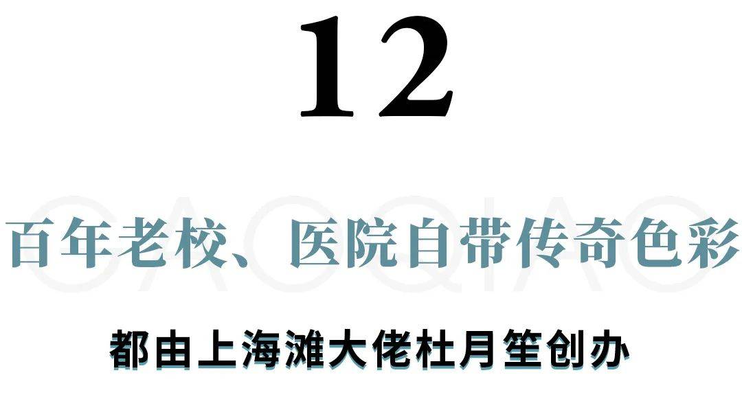 厉害了，高桥！上海下一座“海港新城”来了