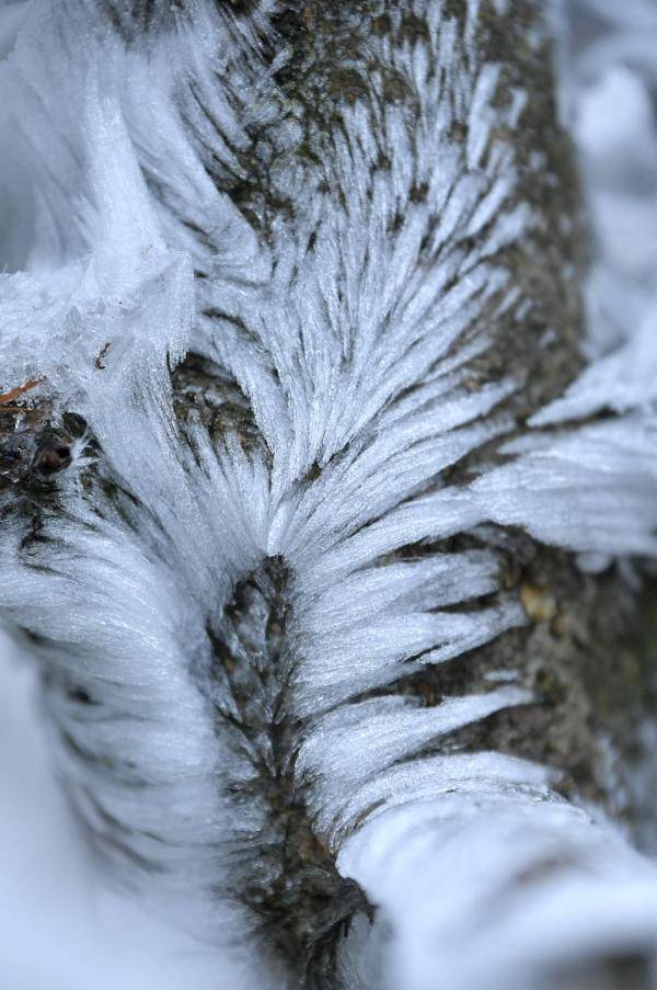 湖北恩施：鬼斧神工的“自然冰雕”