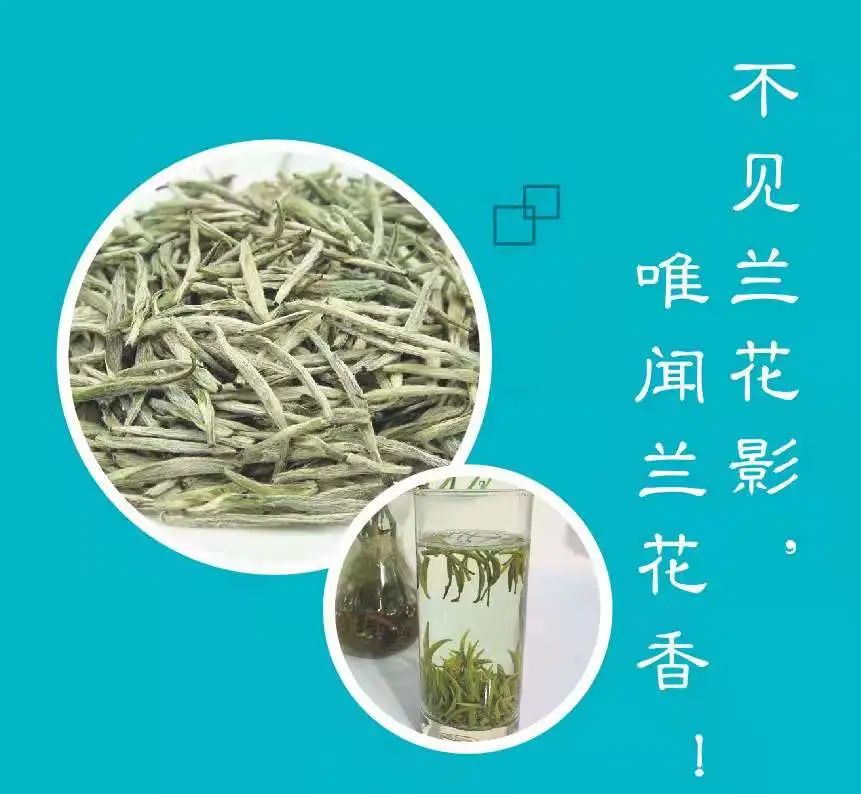 好茶探店系列五｜百花飘香，一家专门做花茶的店铺