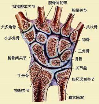 手腕损伤的自我诊断