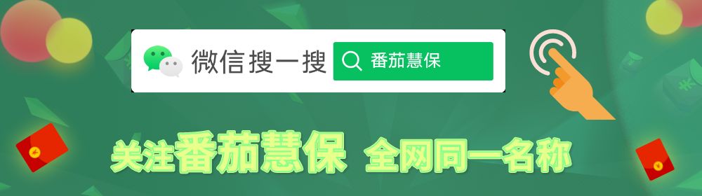 怎么查询自己名下的所有保单？