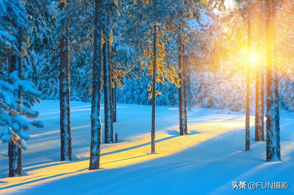 学会这7个摄影技巧，用手机也可以拍出唯美好看的雪景大片