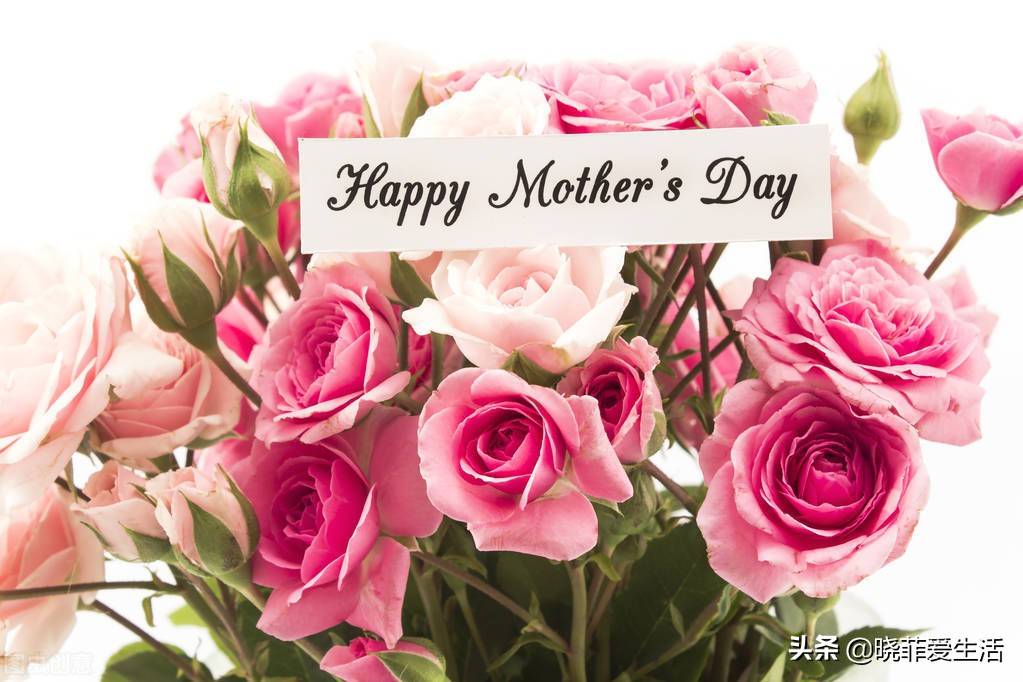4种“母亲花”，送给天下“妈妈”的花，除了康乃馨，还有哪些？