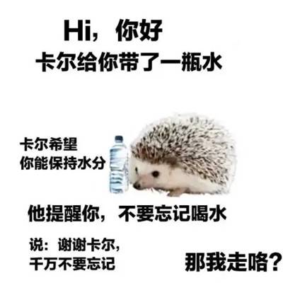 表情包：刺猬卡尔表情包大全