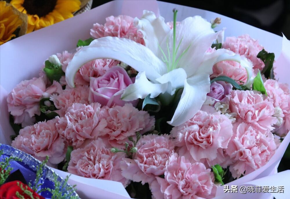 4种“母亲花”，送给天下“妈妈”的花，除了康乃馨，还有哪些？