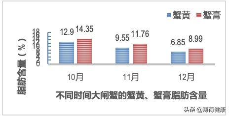 大闸蟹10月吃最鲜美，11月吃最健康！这种吃法性价比最高了