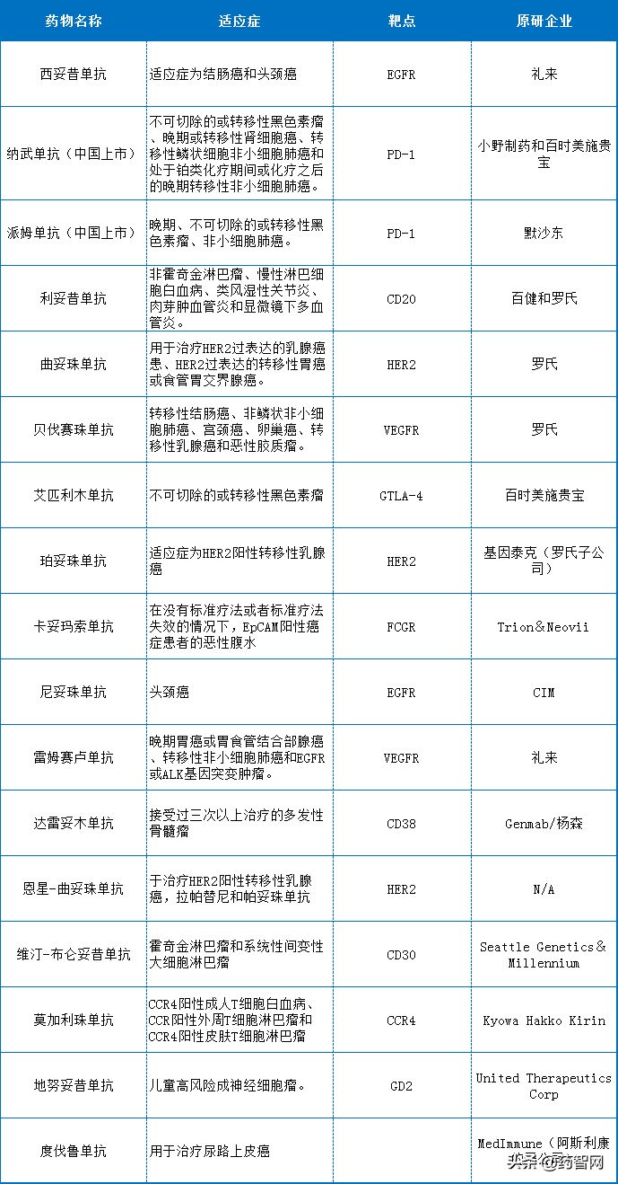 免疫球蛋白中的“精英”药物领域的新锐——单抗