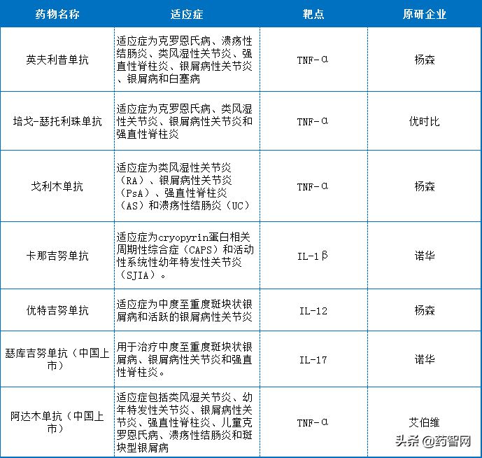 免疫球蛋白中的“精英”药物领域的新锐——单抗