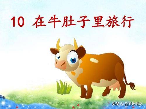 「随堂练」小学语文三年级上册第10课练习：《在牛肚子里旅行》