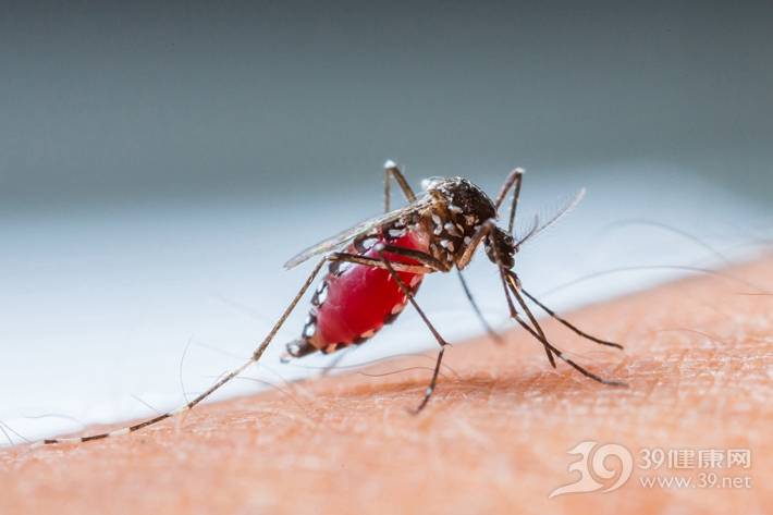蚊子“偏爱”7种人，你可能就在其中！