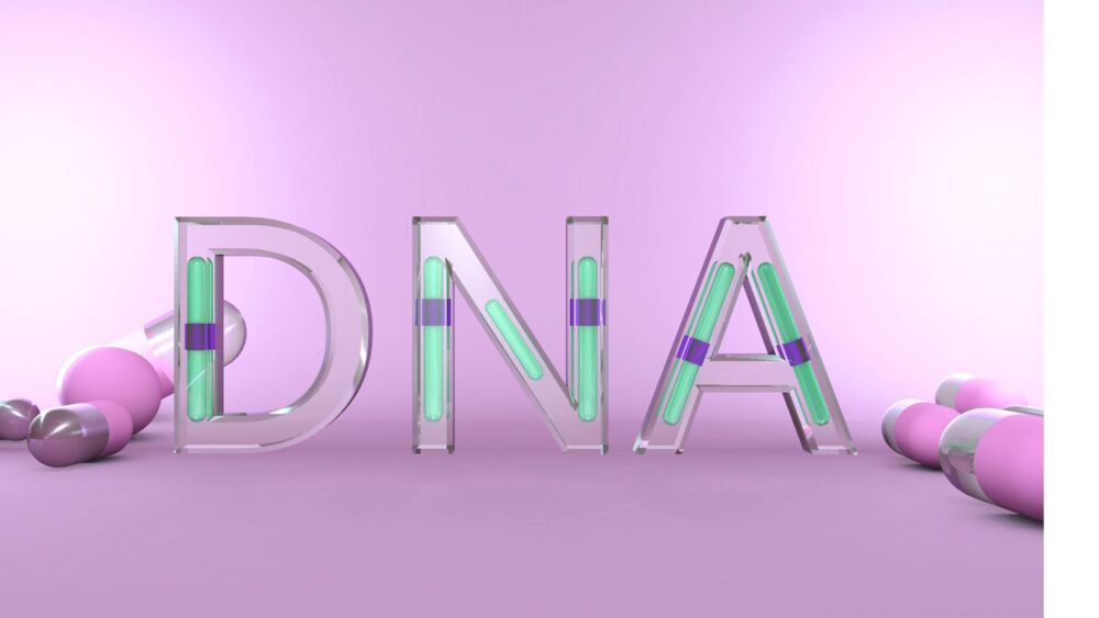 染色体、基因和DNA分别是什么？
