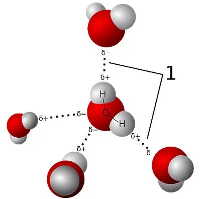 Nat. Chem.：氢键，百岁快乐