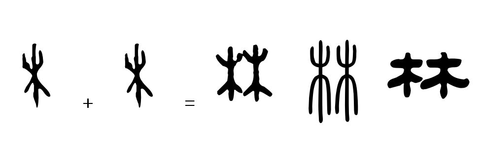 说文解字13：造字方法之会意法