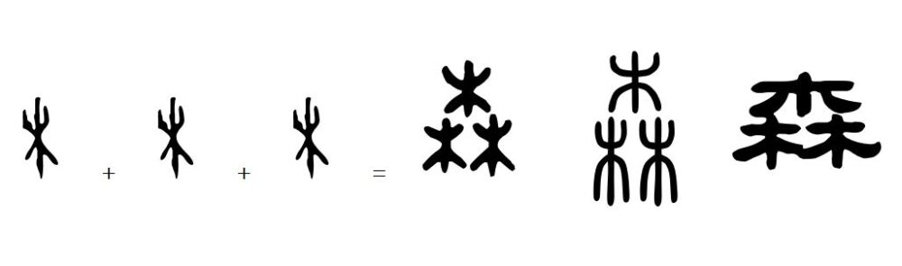 说文解字13：造字方法之会意法