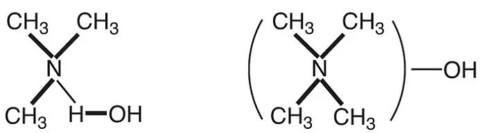 Nat. Chem.：氢键，百岁快乐