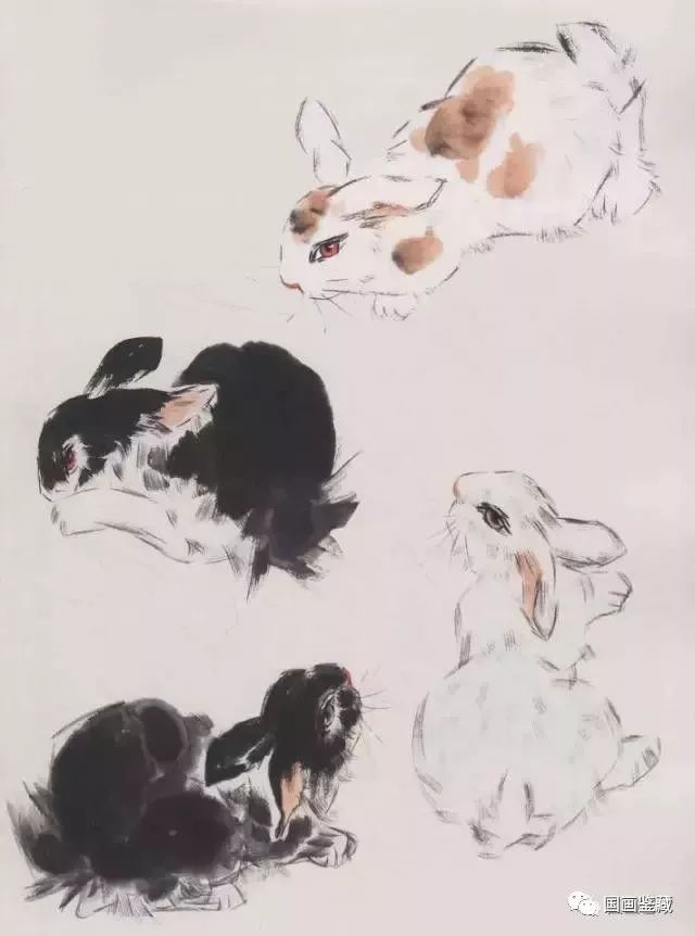 兔子的各种画法，兔子的画法大全，画兔技法解析，兔子画法步骤图