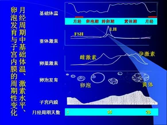 你们真的认识“月经”吗？