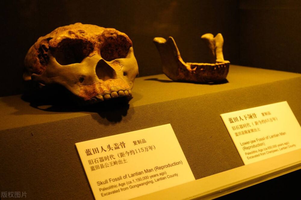 1960年代，蓝田猿人头盖骨的发现，最早的人类是什么样子？