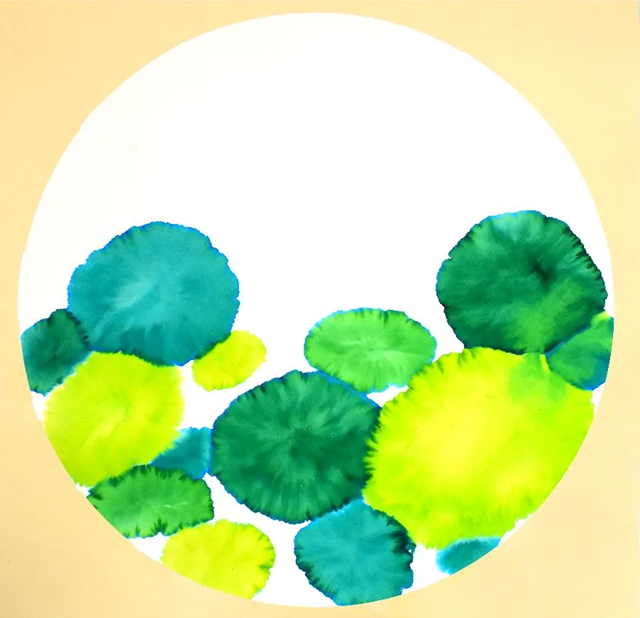 儿童画教程｜趣味色彩与创意手工《青草池塘处处蛙》