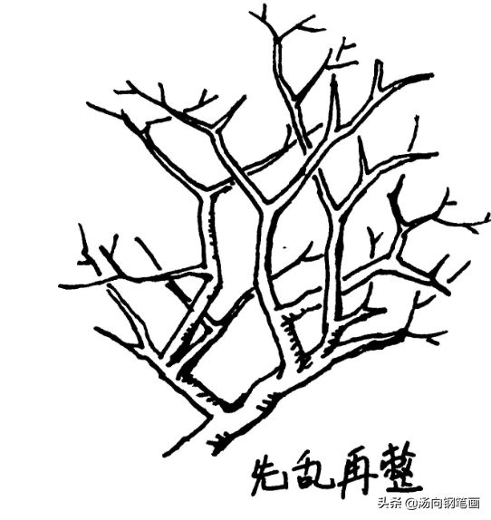 新钢笔画入门技法之如何画树，今天学习树的外形之破立关系