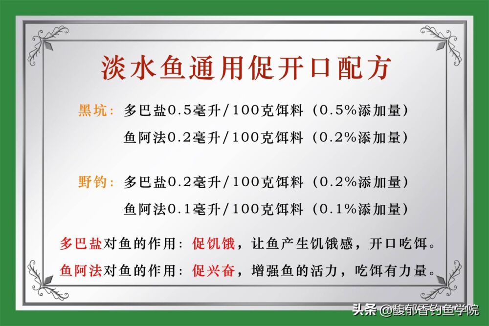 冬季能否钓鲢鳙？用什么味型的饵料？钓底还是钓浮？冬钓鲢鳙技巧