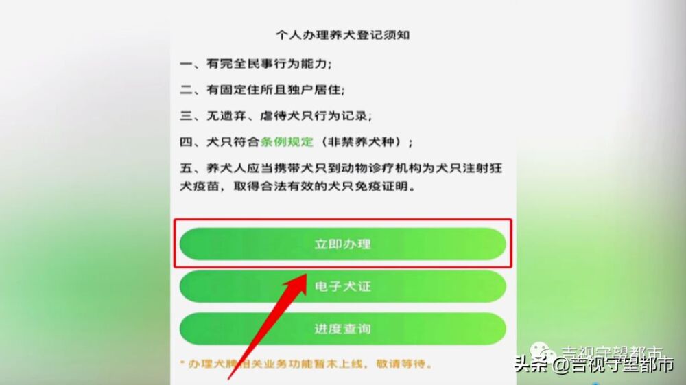 8月起《长春市养犬管理条例》实施，附《养犬证》网上办理指南