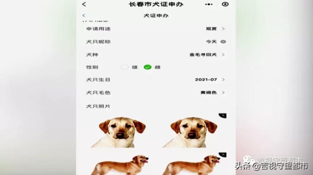8月起《长春市养犬管理条例》实施，附《养犬证》网上办理指南