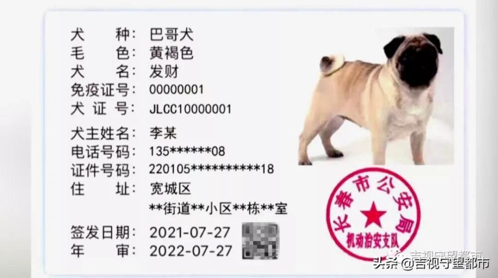 8月起《长春市养犬管理条例》实施，附《养犬证》网上办理指南
