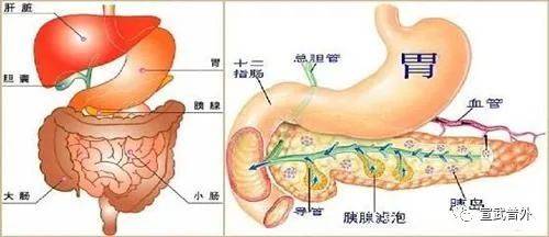 腹痛，恶心，呕吐，腹胀，一定是胃病吗？