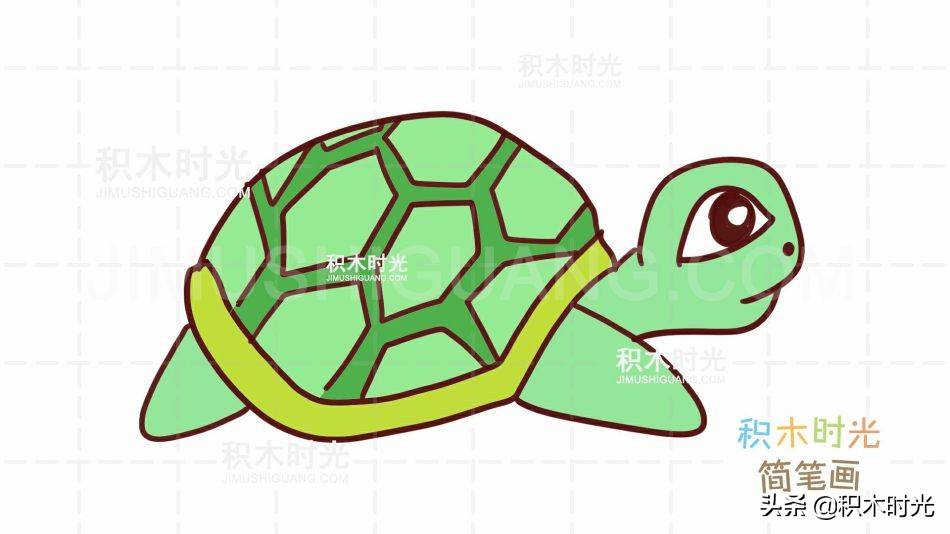 乌龟简笔画教程，画乌龟简笔画