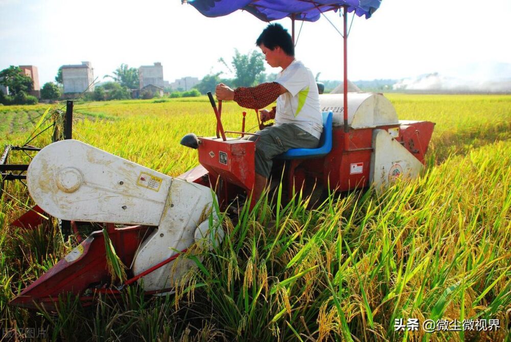 稻谷价格达到1.5元/斤时，农民种田是否更积极？网友：想得太简单