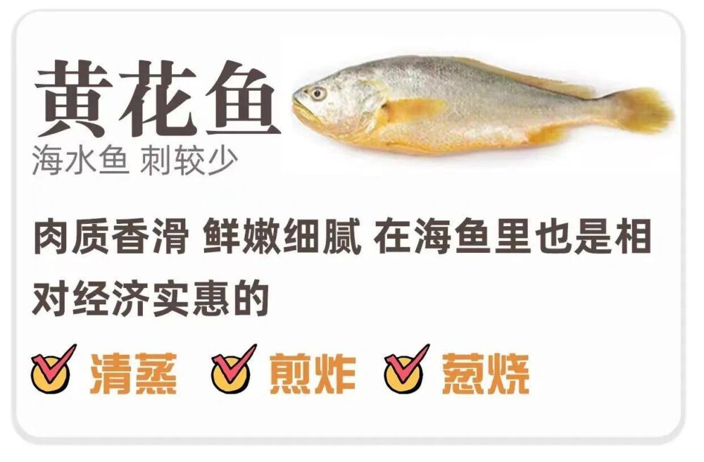 常见鱼类的区别和做法