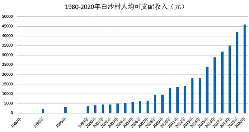 村集体经济下产业振兴与共同富裕的调研报告——调研河北省武安市白沙村