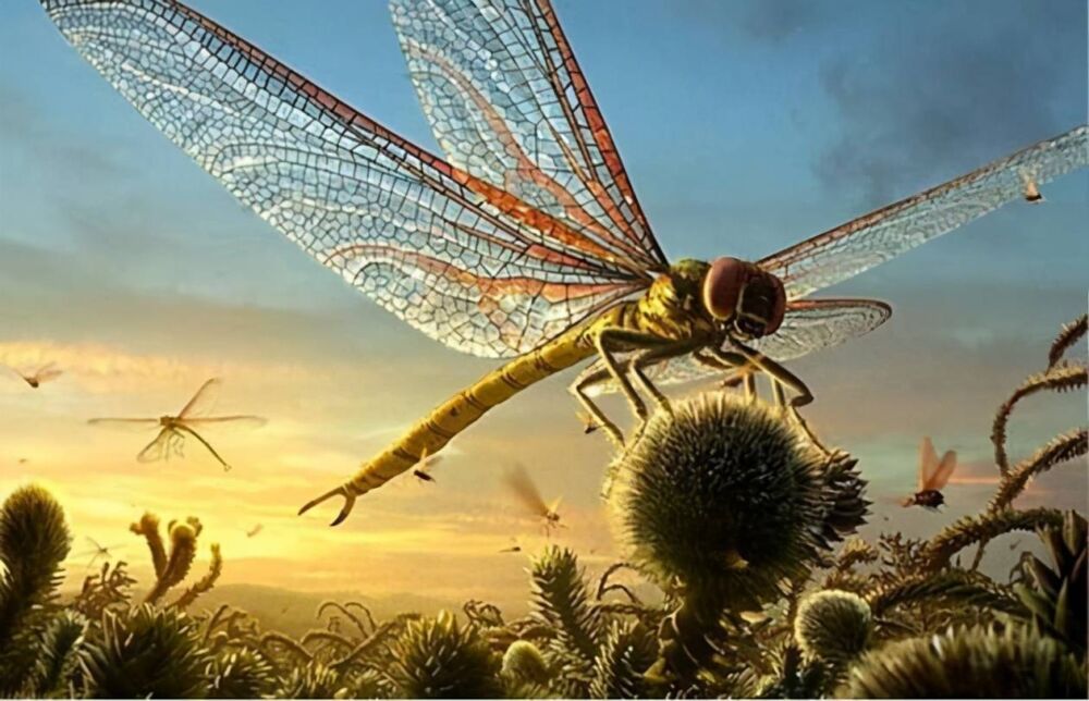 《科学大家》| 崎岖的演化之路：昆虫都有哪些鲜为人知的秘密？