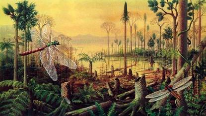 《科学大家》| 崎岖的演化之路：昆虫都有哪些鲜为人知的秘密？