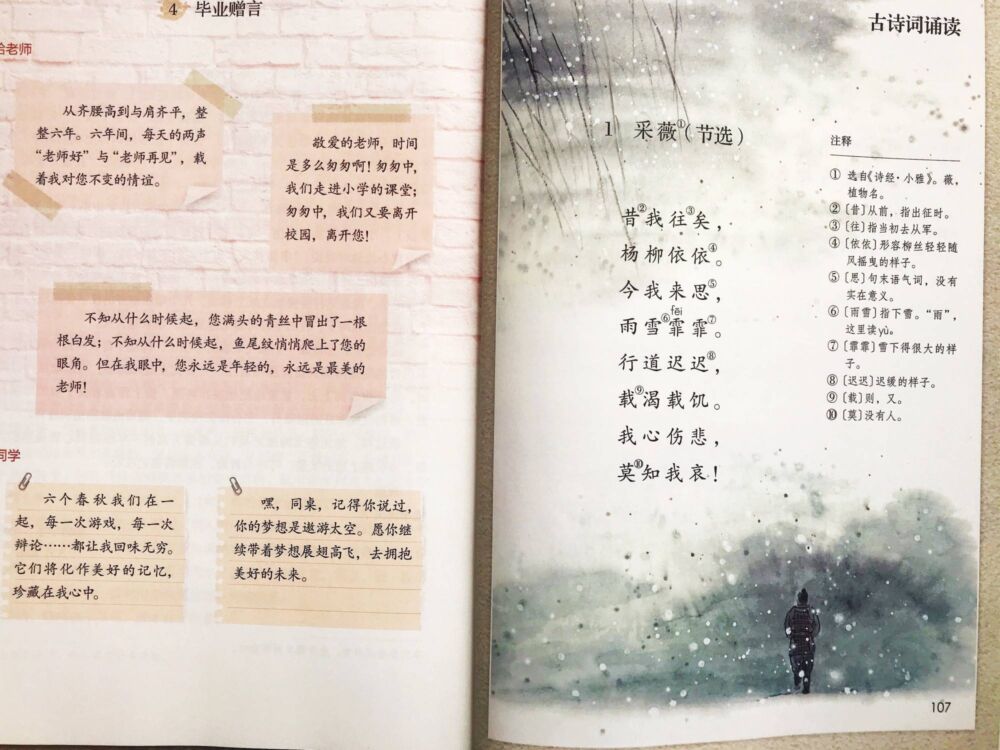 六年语文《江上渔者》，资深老师手写笔记，讲解古诗